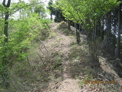 滝谷山手前までの尾根道