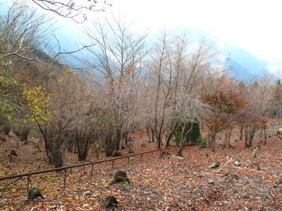 トガ尾のモノレール