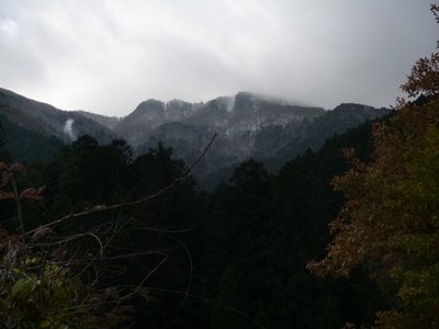 千秋手前尾根.JPG (143.21 KiB) 閲覧された回数 3540 回 つい先日ワリバシさんが歩いた尾根。雪も有るけど、雲も雪雲でした(木屋谷林道から)