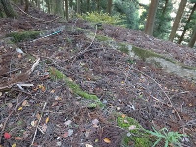 池の跡.JPG (220.13 KiB) 閲覧された回数 7219 回 池の跡。上部の平地に有りました。石をコンクリで固めてあります。