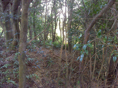 DSC00037.jpg (185.4 KiB) 閲覧された回数 4698 回 薮漕ぎしてプチ稜線へ