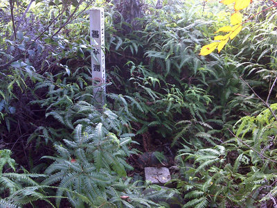 DSC00036.jpg (150.72 KiB) 閲覧された回数 4698 回 三角点発見