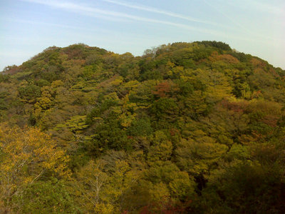 DSC00096.jpg (157.08 KiB) 閲覧された回数 4698 回 双子峰