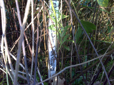 DSC00107.jpg (151.01 KiB) 閲覧された回数 4699 回 三角点は大切に!