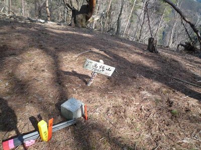 高鉢山の三角点