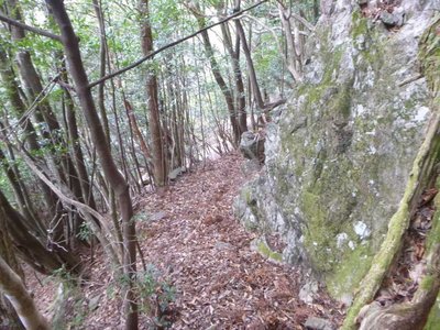 P1050204.jpg (126.11 KiB) 閲覧された回数 3518 回 木馬道?