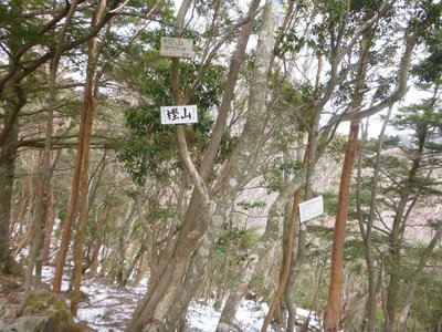P1050194.jpg (139.07 KiB) 閲覧された回数 3327 回 樫山