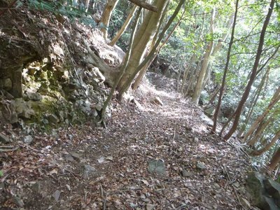 P1050183.jpg (150.56 KiB) 閲覧された回数 3328 回 水平道