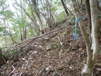 斜面に付けられていた青ヒモ