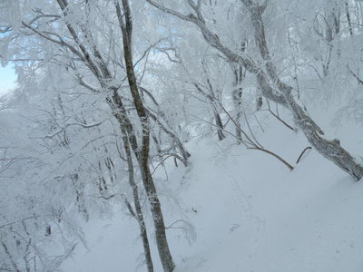 グーさんトラバースの証拠