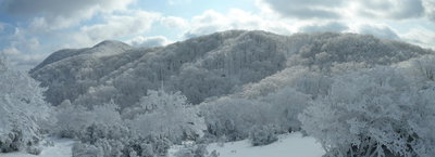 明神から桧塚の山稜