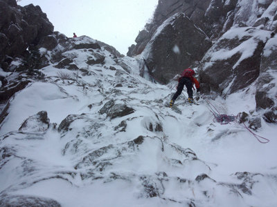 DSC_0041.jpg (123.13 KiB) 閲覧された回数 6266 回 ペアが降りてきた