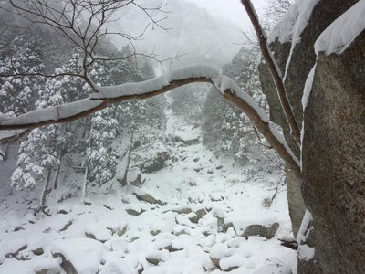 ２２日の藤内沢出合