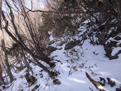 西斜面の巻き道.JPG (176.01 KiB) 閲覧された回数 4149 回 西斜面の巻き道