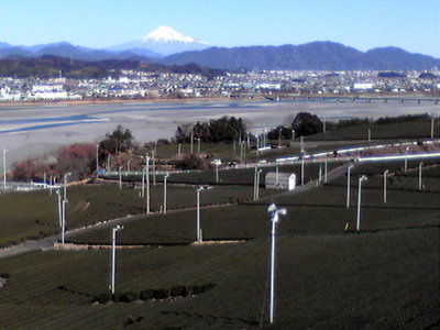 大井川、牧ヶ原の茶畑からの富士山(2013/12/29)