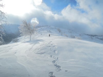 ２０１３年１２月３０日。