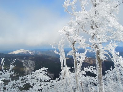 霧氷と白い高見山。