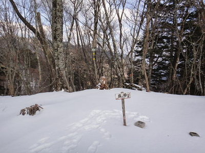 yabu004.jpg (53.91 KiB) 閲覧された回数 12768 回 山日和さんとひいちゃんと共に行ったことがある山ノ神ノ頭の今日