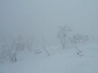 早い下山が正解だったかも・・・