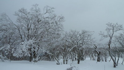 前週の御池テーブルランド