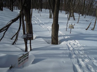 カタクリ峠.jpg (233.06 KiB) 閲覧された回数 6177 回 雪のカタクリ峠