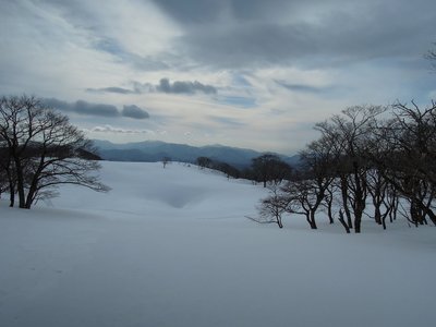 きれいな青のドリーネ