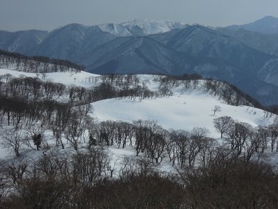 御池岳南部.jpg (292.02 KiB) 閲覧された回数 6177 回 御池岳南部
