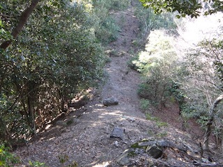 広い尾根の鞍部