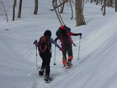カタクリ峠に向かう二人