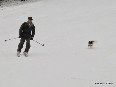 スキーもついて走るよ