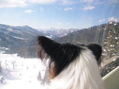 見てる.JPG (74.42 KiB) 閲覧された回数 7687 回 ひ孫とあそんでんねん