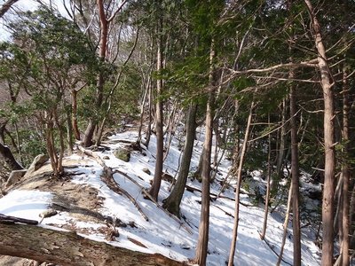 ジャリヶ谷左岸尾根