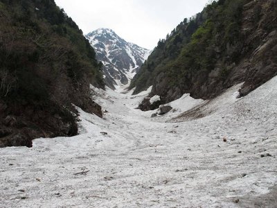 穏やかな表情の板菱