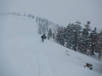 尾根が広くなって山頂まで一登り