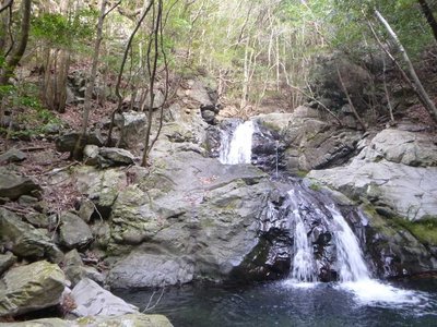 P1060423.jpg (127.94 KiB) 閲覧された回数 4336 回 滝ヤ谷の入口にある2段15m滝