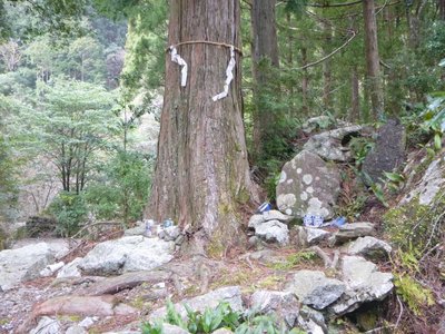 P1060416.jpg (129.01 KiB) 閲覧された回数 4332 回 山ノ神