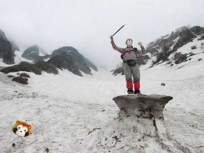 猫又狂想曲を振るＦ氏