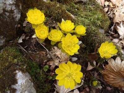 20140329-42.jpg (194.39 KiB) 閲覧された回数 3728 回 20140329-42.jpg