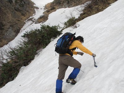 ぽぽんただってヤルときはヤルんだにゃ～