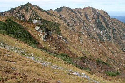 おニャンコの上でのお昼寝は気持ちエエです　　　～向こうはカマタン＆ケカチ～