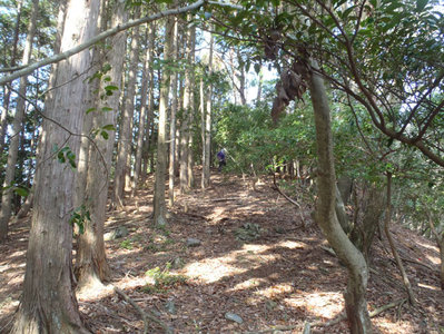 右岸尾根(下部).JPG (162.4 KiB) 閲覧された回数 5862 回 右岸尾根(下部)