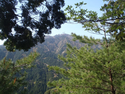 野登山の景観.JPG (142.44 KiB) 閲覧された回数 5862 回 野登山の景観を楽しみながら・・・・・