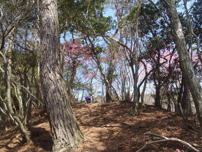 右岸尾根(上部).JPG (176.34 KiB) 閲覧された回数 5861 回 右岸尾根(上部)