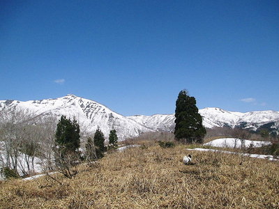 枯葉の丘ですがな