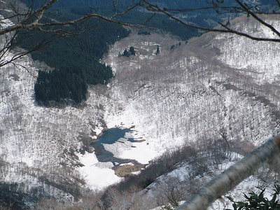アリンコの横すわりに見えるなあ