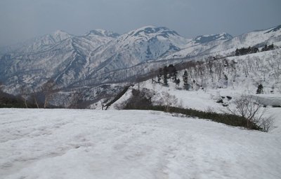 IMG_7246-s.JPG (93.73 KiB) 閲覧された回数 6983 回 昨日の野伏は霞んでました