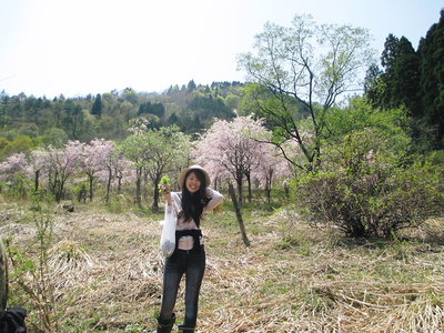 美女.JPG (168.33 KiB) 閲覧された回数 6950 回 白鳥での山菜つみ、素的な美女に出会いましたよ。<br />たんぽぽさん、好みではないかもですけど。