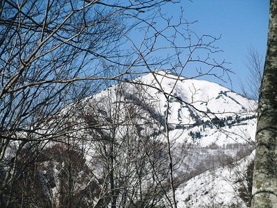 野伏せ.JPG (207.26 KiB) 閲覧された回数 6833 回 歩いたところ見るもいいもんだワン