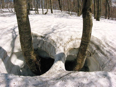 〇 雪融け時期はオモシロい姿が現れるね