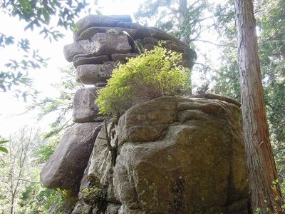 お金明神.jpg (414.76 KiB) 閲覧された回数 8677 回 何考えてるの?